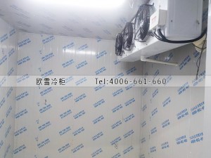 北京市石景山區(qū)小型雙溫冷庫安裝